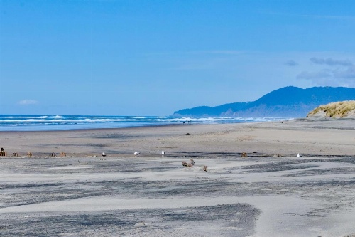 The Seaveyor image 14